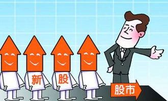 華陽(yáng)集團(tuán)(002906)新股申購(gòu)中簽率解析與中簽號(hào)碼查詢指南